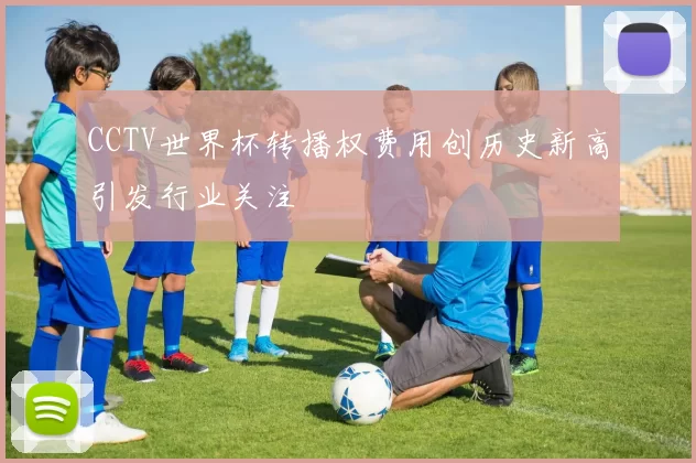 CCTV世界杯转播权费用创历史新高引发行业关注