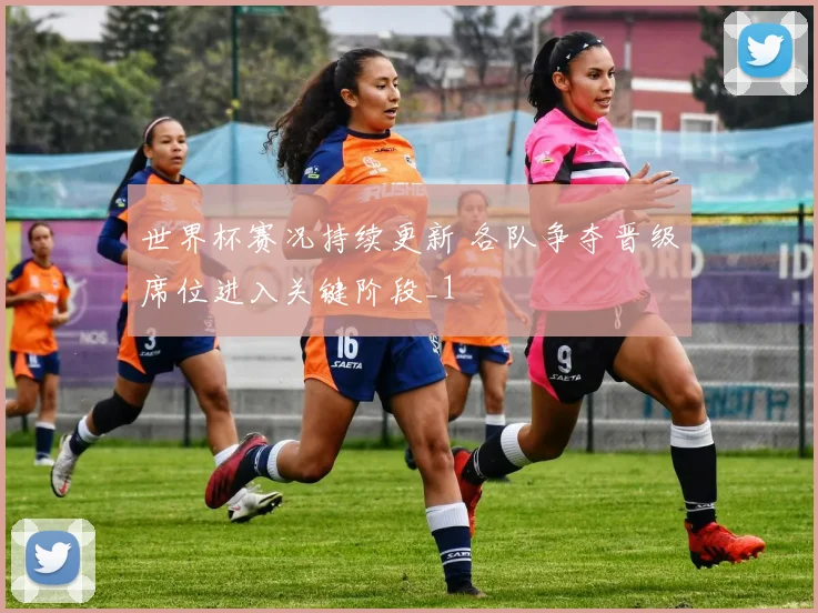 世界杯赛况持续更新 各队争夺晋级席位进入关键阶段_1