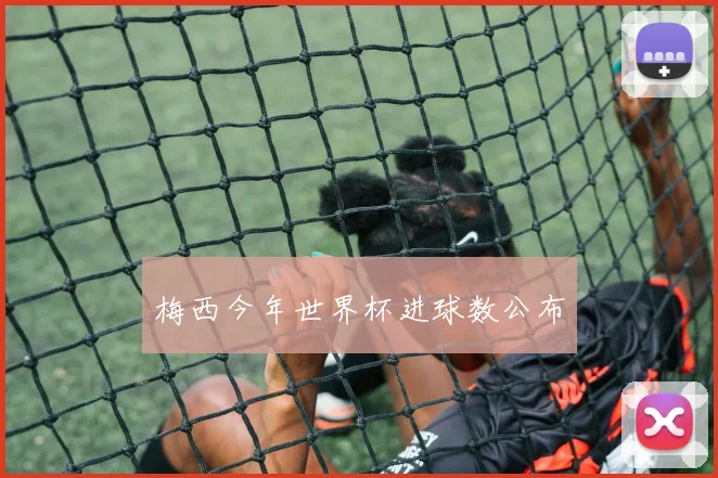 梅西今年世界杯进球数公布